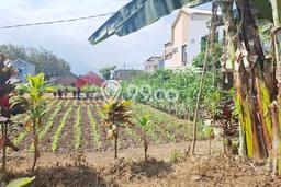 Tanah Kavling untuk Dijual di Junrejo Batu 384m2 Tanah Kavling untuk Dijual di Junrejo Batu 384m2
