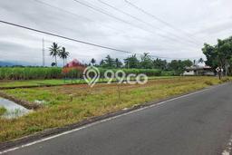 Tanah Strategis Dijual di Tumpang Malang 2070m2 Tanah Strategis Dijual di Tumpang Malang 2070m2