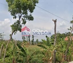 Jarang Ada! Tanah di Ngetos Punya Luas 2666m2 SHM Jarang Ada! Tanah di Ngetos Punya Luas 2666m2 SHM
