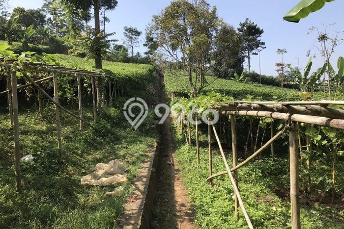 Tanah Strategis Dijual di Lembang Bandung Barat 4920m2 Tanah Strategis Dijual di Lembang Bandung Barat 4920m2