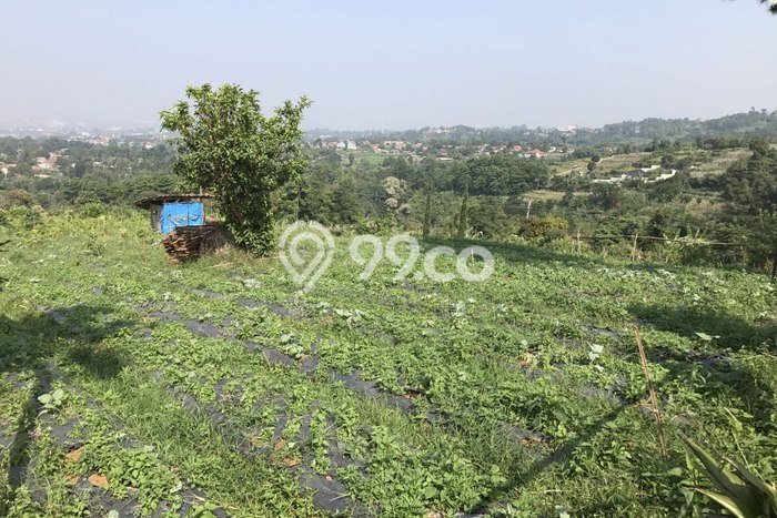 Tanah Strategis Dijual di Lembang Bandung Barat 4920m2 Tanah Strategis Dijual di Lembang Bandung Barat 4920m2