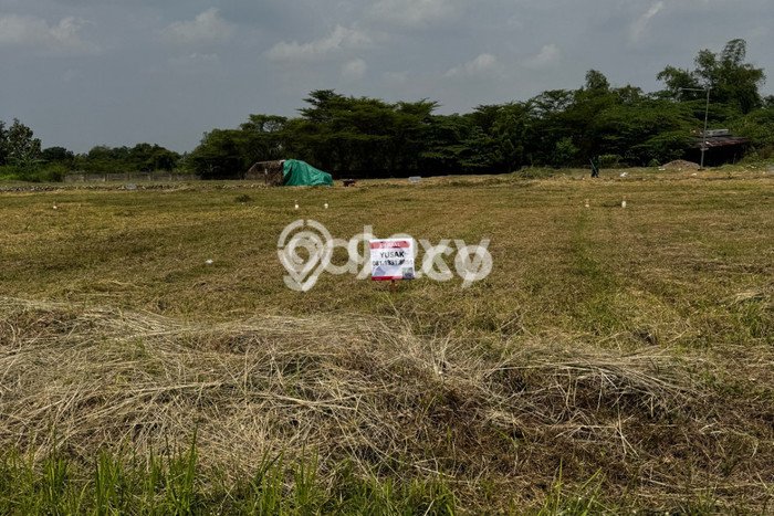 Tanah untuk Dijual Lokasi Menganti, Gresik Luas 162m2 - Tanah untuk Dijual Lokasi Menganti, Gresik Luas 162m2 -