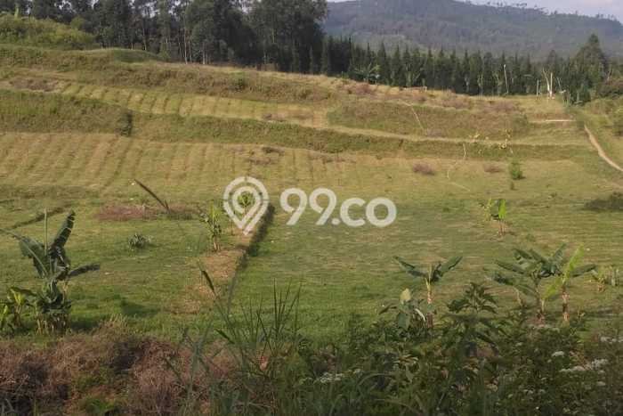 Tanah untuk Dijual Lokasi Lembang, Bandung Barat Luas 10000m2 SHM Tanah untuk Dijual Lokasi Lembang, Bandung Barat Luas 10000m2 SHM