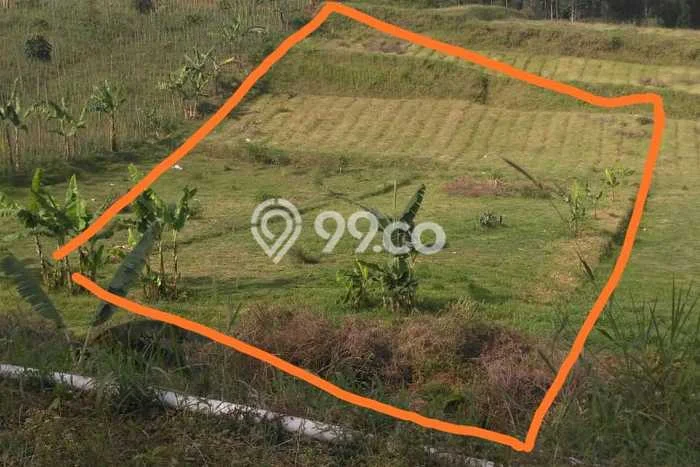 Tanah untuk Dijual Lokasi Lembang, Bandung Barat Luas 10000m2 SHM Tanah untuk Dijual Lokasi Lembang, Bandung Barat Luas 10000m2 SHM