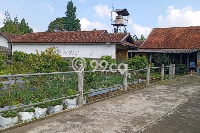 Tanah Kavling di Lembang Dijual dengan Luas 5333m2 Tanah Kavling di Lembang Dijual dengan Luas 5333m2