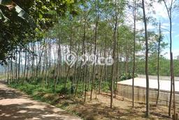 Lahan untuk Dijual Lokasi Cianjur, Cianjur Luas 58253m2 SHM Lahan untuk Dijual Lokasi Cianjur, Cianjur Luas 58253m2 SHM