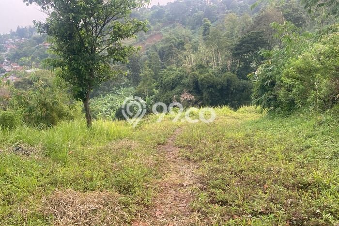 Tanah Komersial Dijual di Cidadap Bandung 7865m2 Tanah Komersial Dijual di Cidadap Bandung 7865m2