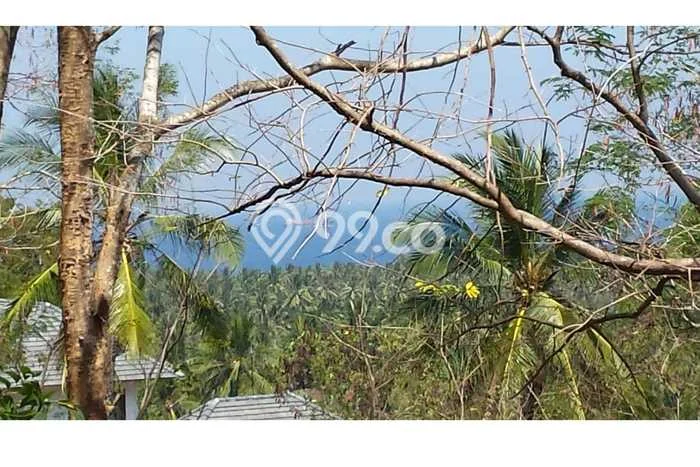 Tanah Dijual di Lombok Barat Seluas 5200m2 Strategis Tanah Dijual di Lombok Barat Seluas 5200m2 Strategis