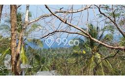 Tanah Dijual di Lombok Barat Seluas 5200m2 Strategis Tanah Dijual di Lombok Barat Seluas 5200m2 Strategis