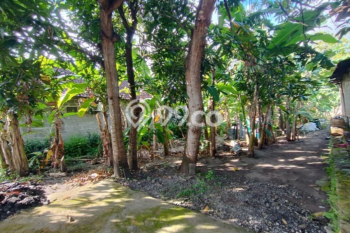 Lahan Kosong Dijual di Pandak, Bantul, Luas 288m2 Area Strategis Lahan Kosong Dijual di Pandak, Bantul, Luas 288m2 Area Strategis