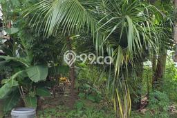 Dijual Tanah Lokasi Citraland, Surabaya Seluas 139m2 Dijual Tanah Lokasi Citraland, Surabaya Seluas 139m2