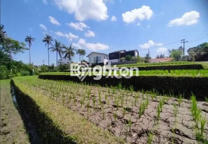 For Rent Tanah Kawasan Beraban, Luas 2200m², Area Premium For Rent Tanah Kawasan Beraban, Luas 2200m², Area Premium