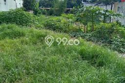 Kavling Tanah di Depok Dijual Luas 603m2 Legalitas SHM Kavling Tanah di Depok Dijual Luas 603m2 Legalitas SHM