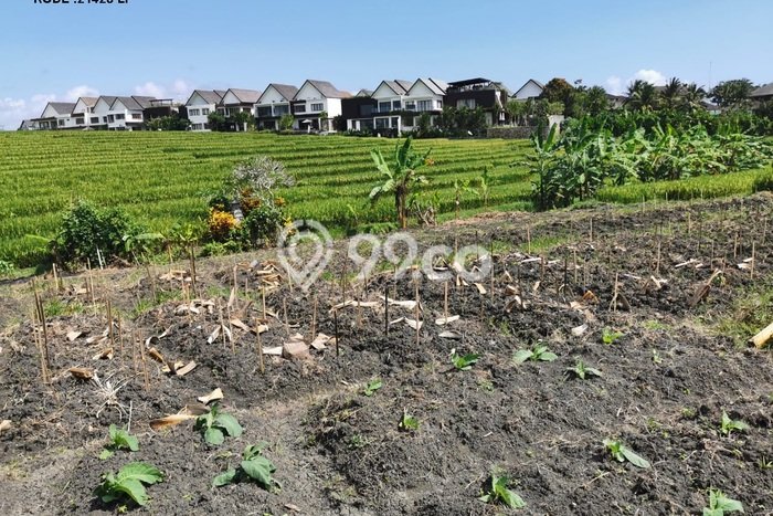 TANAH PROSPEKTIF! Tanah Kawasan , Luas 600m2m², Jalur Strategis TANAH PROSPEKTIF! Tanah Kawasan , Luas 600m2m², Jalur Strategis