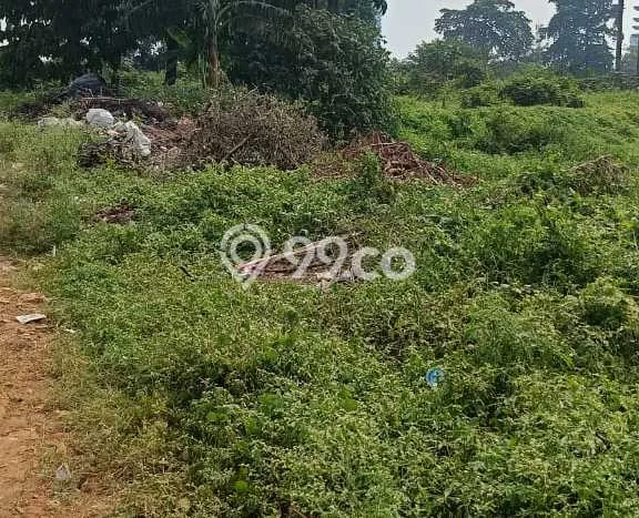 Jarang Ada! Tanah Kavling Disewakan di Tangerang 20000m2 Jarang Ada! Tanah Kavling Disewakan di Tangerang 20000m2