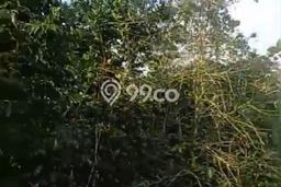 Kavling Tanah Dijual di Cianjur, Cianjur, Luas 100000m2 Area Strategis Kavling Tanah Dijual di Cianjur, Cianjur, Luas 100000m2 Area Strategis
