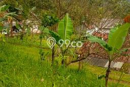 Lahan untuk Dijual di Cigombong Bogor Luas 2592m2 Lahan untuk Dijual di Cigombong Bogor Luas 2592m2