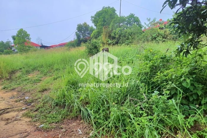 Tanah Investasi Dijual di Tanjung Pinang Punya Luas 1320m2 Tanah Investasi Dijual di Tanjung Pinang Punya Luas 1320m2