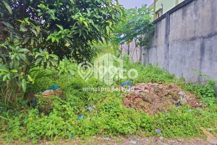 Tanah Investasi Dijual di Tanjung Pinang Punya Luas 1320m2 Tanah Investasi Dijual di Tanjung Pinang Punya Luas 1320m2