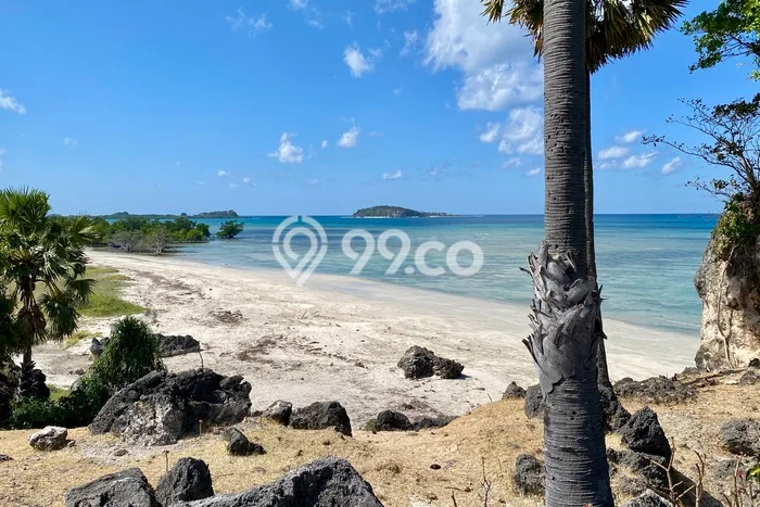 LOKASI STRATEGIS! Tanah Kawasan Rote Barat Daya, Luas 8702m², Kawasan Potensial, Cocok untuk Hunian LOKASI STRATEGIS! Tanah Kawasan Rote Barat Daya, Luas 8702m², Kawasan Potensial, Cocok untuk Hunian