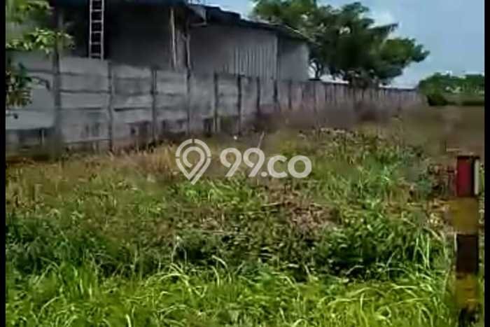 Kavling Tanah di Tuban Dijual Luas 40000m2 Legalitas SHM Kavling Tanah di Tuban Dijual Luas 40000m2 Legalitas SHM