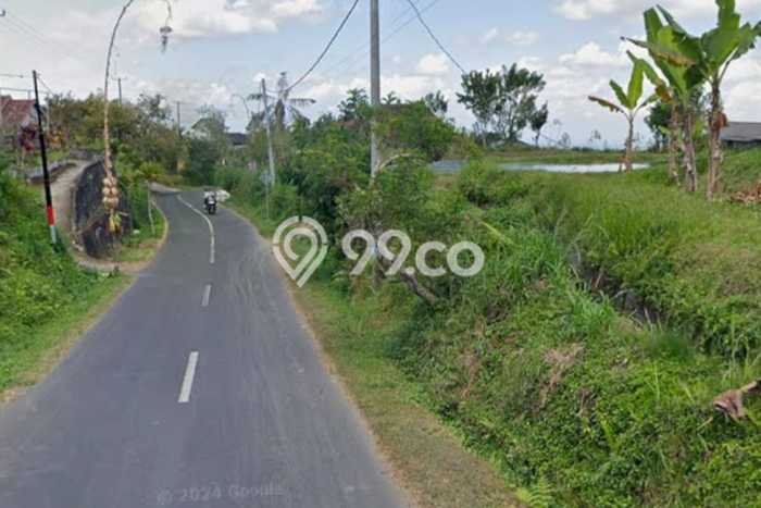 Tanah Kavling untuk Dijual di Baturiti Tabanan 69000m2 Tanah Kavling untuk Dijual di Baturiti Tabanan 69000m2