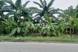 Lahan Investasi Lokasi Menganti Gresik SHM Lahan Investasi Lokasi Menganti Gresik SHM