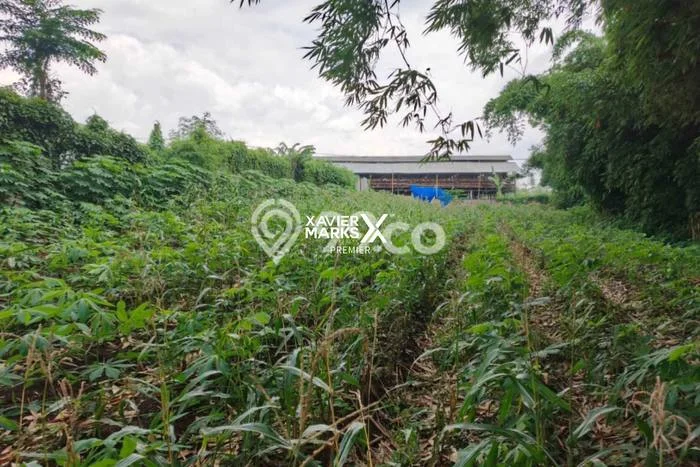 Tanah di Sukun, Malang Luas 1635m2 Dijual Segera Tanah di Sukun, Malang Luas 1635m2 Dijual Segera