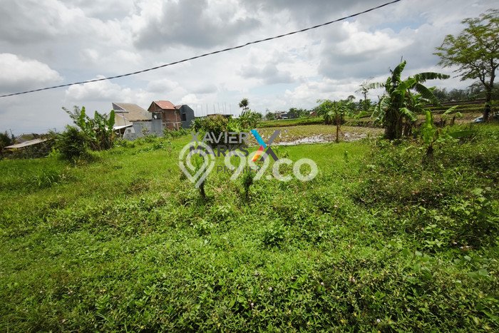 Tanah Dijual Lokasi Singosari, Malang Luas 100m2 Legalitas Aman Tanah Dijual Lokasi Singosari, Malang Luas 100m2 Legalitas Aman