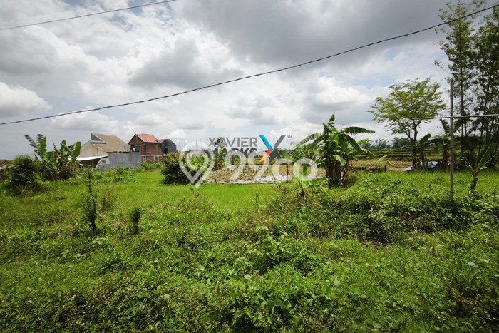 Tanah Dijual Lokasi Singosari, Malang Luas 100m2 Legalitas Aman Tanah Dijual Lokasi Singosari, Malang Luas 100m2 Legalitas Aman