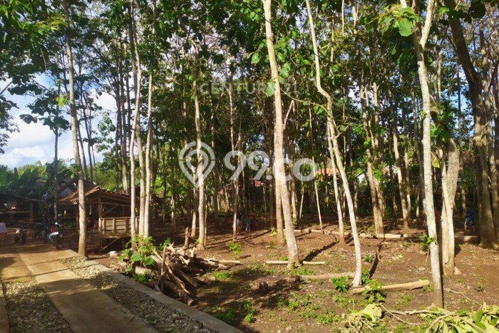 Tanah Bisnis Kawasan Paliyan, Luas 1000m², Akses Mudah Tanah Bisnis Kawasan Paliyan, Luas 1000m², Akses Mudah