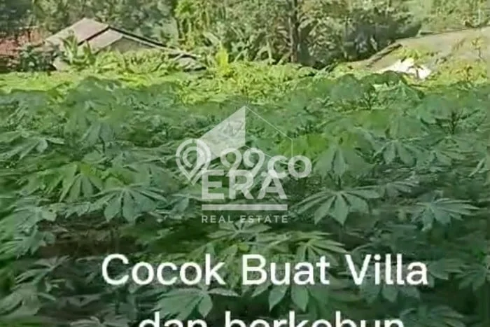 Tanah Kavling di Babakan Madang Dijual dengan Luas 1917m2 Tanah Kavling di Babakan Madang Dijual dengan Luas 1917m2