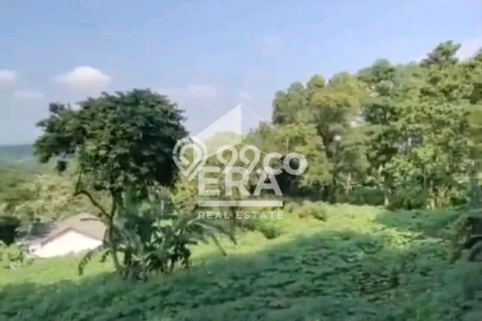 Tanah Kavling di Babakan Madang Dijual dengan Luas 1917m2 Tanah Kavling di Babakan Madang Dijual dengan Luas 1917m2