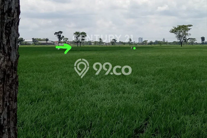 Lahan Kosong Dijual di Sukoharjo, Sukoharjo, Luas 1765m2 Area Strategis Lahan Kosong Dijual di Sukoharjo, Sukoharjo, Luas 1765m2 Area Strategis