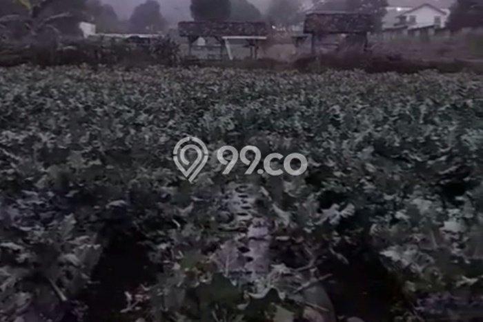 Lahan Kosong Dijual di Lembang, Bandung Barat, Luas 6730m2 Area Strategis Lahan Kosong Dijual di Lembang, Bandung Barat, Luas 6730m2 Area Strategis