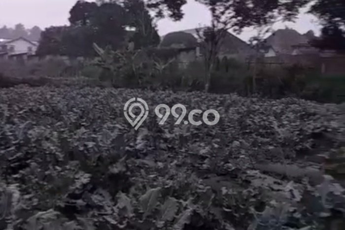 Lahan Kosong Dijual di Lembang, Bandung Barat, Luas 6730m2 Area Strategis Lahan Kosong Dijual di Lembang, Bandung Barat, Luas 6730m2 Area Strategis