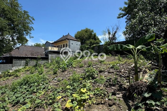 Lahan Investasi Lokasi Denpasar Utara Denpasar SHM Lahan Investasi Lokasi Denpasar Utara Denpasar SHM