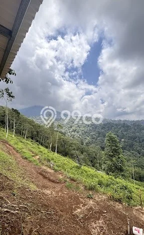 Lahan untuk Dijual di Penebel Tabanan Luas 1000m2 Lahan untuk Dijual di Penebel Tabanan Luas 1000m2