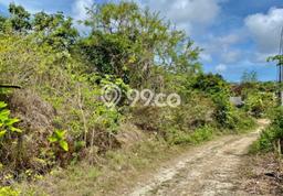 Tanah Dijual Area Strategis di Jimbaran Badung 200m2 Tanah Dijual Area Strategis di Jimbaran Badung 200m2
