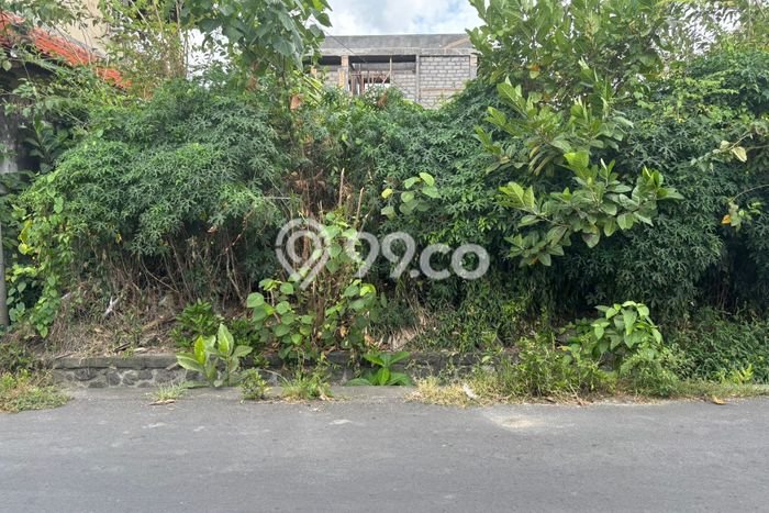 Tanah di Denpasar Utara, Luas 500m2m², Dekat Denpasar Utara, Denpasar, Denpasar Tanah di Denpasar Utara, Luas 500m2m², Dekat Denpasar Utara, Denpasar, Denpasar