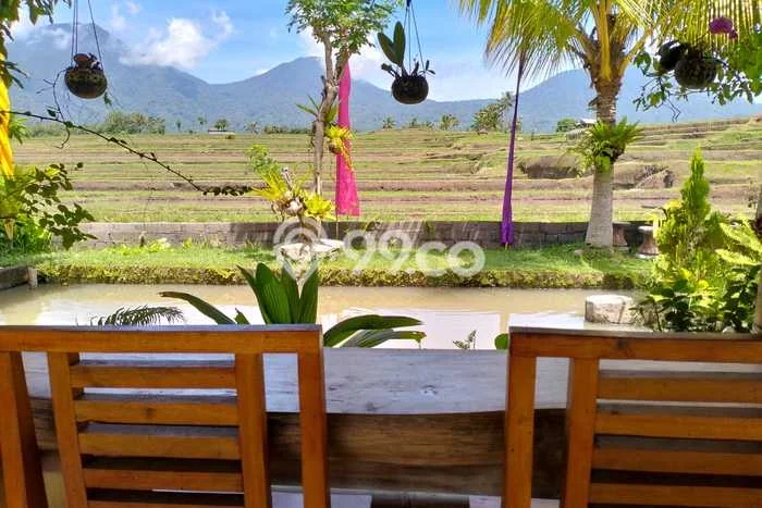 Dijual Tanah 5000m2 di Jatiluwih, Tabanan Dijual Tanah 5000m2 di Jatiluwih, Tabanan