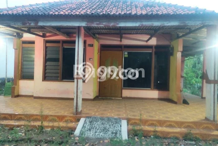 Jual Rumah Murah Meriah Trowulan Punya 4 Kamar & LT 583m2 Jual Rumah Murah Meriah Trowulan Punya 4 Kamar & LT 583m2