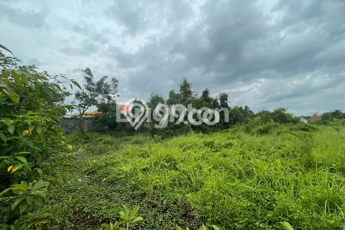 Kavling Tanah di Jetis Dijual Luas 1015m2 Legalitas SHM Kavling Tanah di Jetis Dijual Luas 1015m2 Legalitas SHM