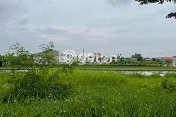 Lahan Kosong Dijual di Mojokerto dengan Area 135m2 Lahan Kosong Dijual di Mojokerto dengan Area 135m2