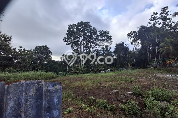 Tanah Kavling Dijual di Balikpapan dengan Spesifikasi 2500m2 Tanah Kavling Dijual di Balikpapan dengan Spesifikasi 2500m2