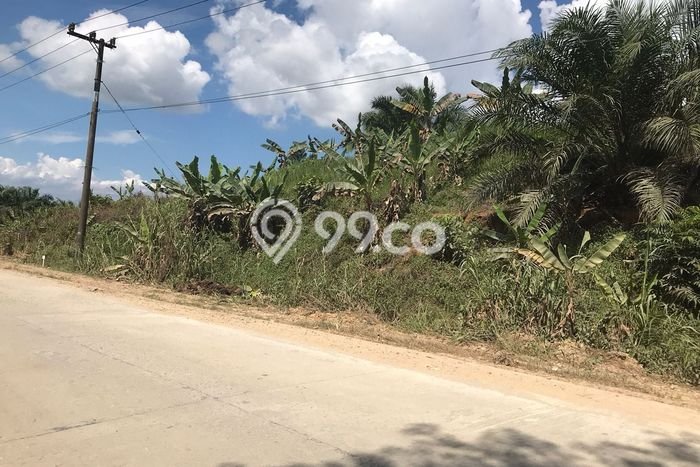 Tanah di Penajam, Penajam Paser Utara Luas 1.372e+08m2 Dijual Segera Tanah di Penajam, Penajam Paser Utara Luas 1.372e+08m2 Dijual Segera