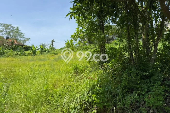 Jual Tanah Area Premium di Beraban, Luas 137m², Ideal untuk Investasi Jual Tanah Area Premium di Beraban, Luas 137m², Ideal untuk Investasi