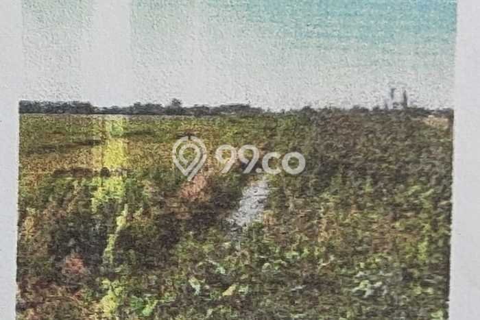 Kavling Tanah Dijual di Batang Batang Spesifikasi 16550m2 Kavling Tanah Dijual di Batang Batang Spesifikasi 16550m2