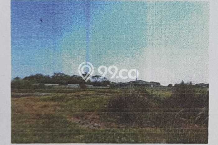 Kavling Tanah Dijual di Batang Batang Spesifikasi 16550m2 Kavling Tanah Dijual di Batang Batang Spesifikasi 16550m2