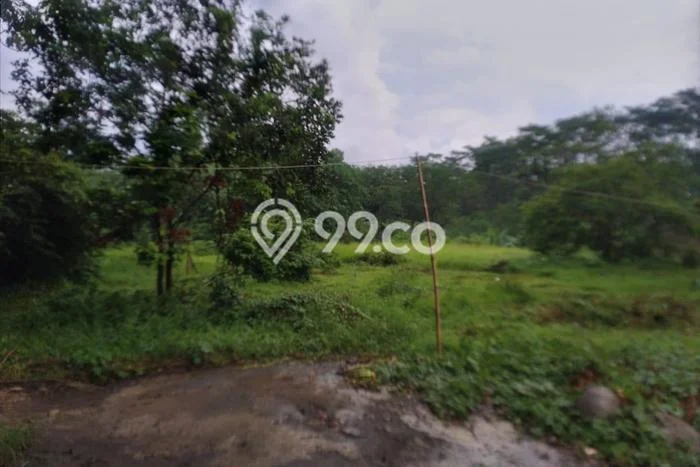 Tanah Strategis Dijual di Batang Batang 4330m2 Tanah Strategis Dijual di Batang Batang 4330m2
